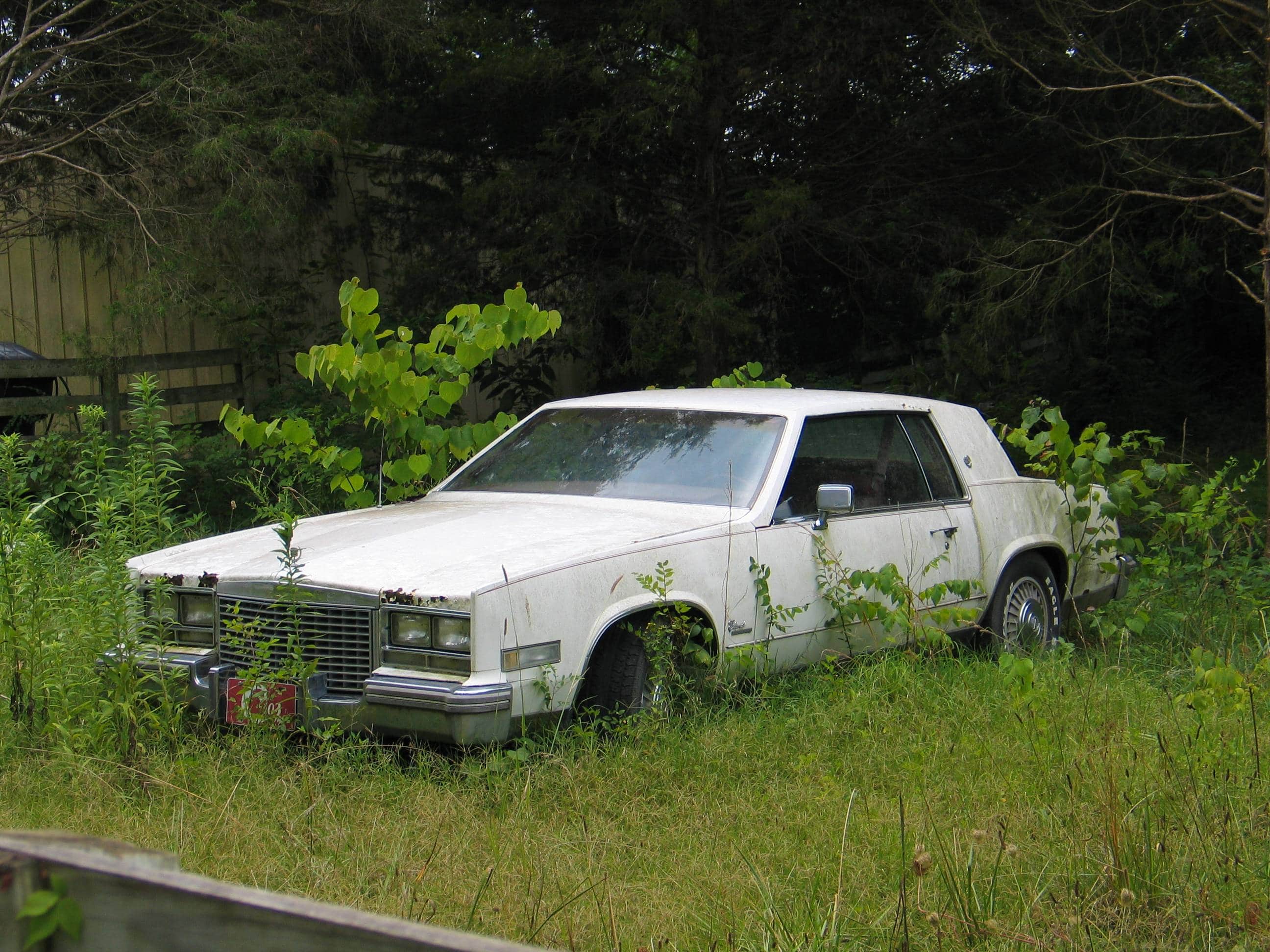 white junk car - Lawrenceville, GA